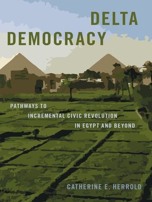 cover image of Delta Democracy